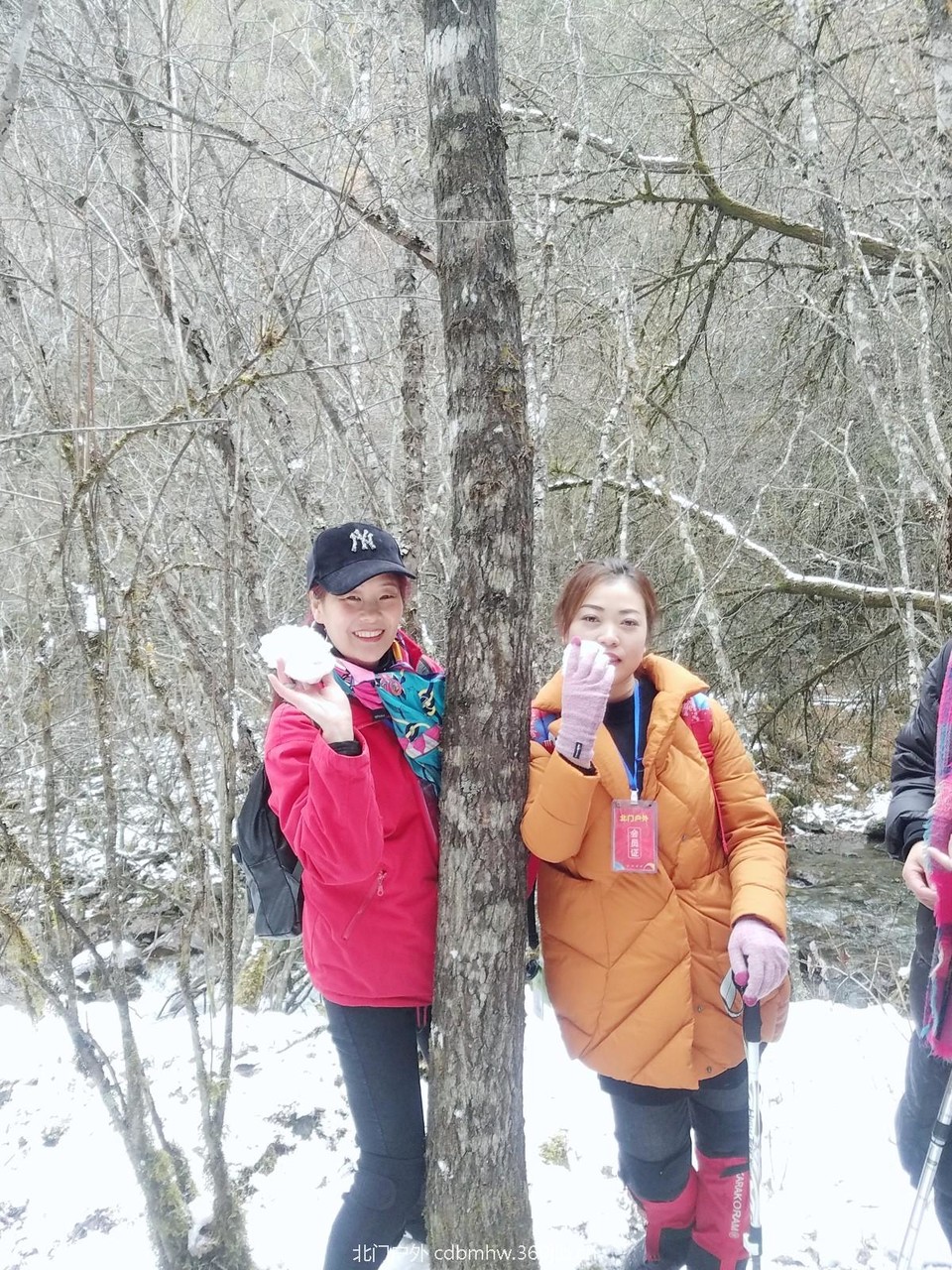 WuTa_2018-11-21_13-47-15