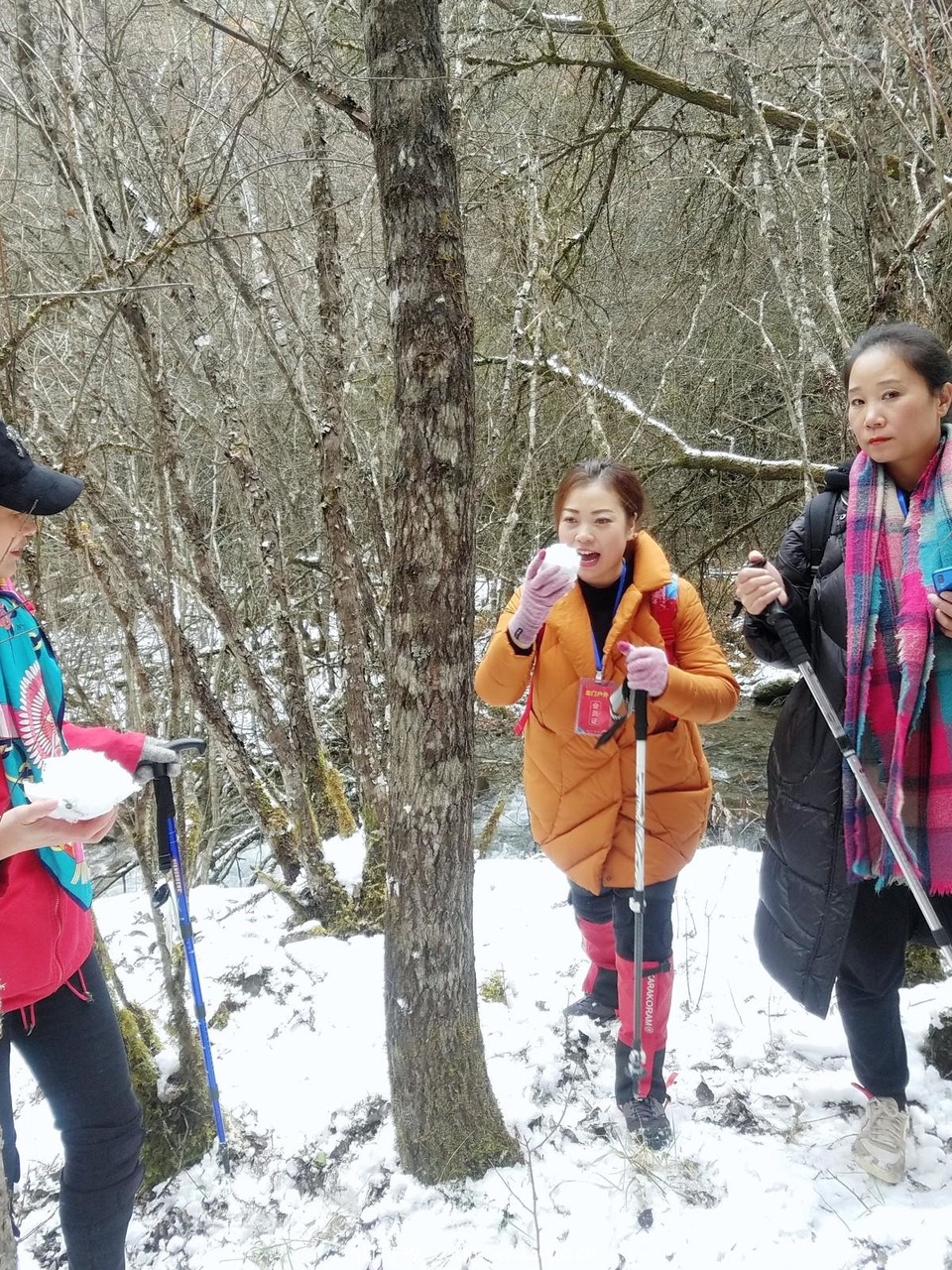 WuTa_2018-11-21_13-47-05