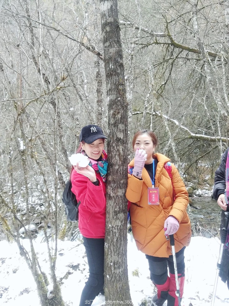 WuTa_2018-11-21_13-47-12