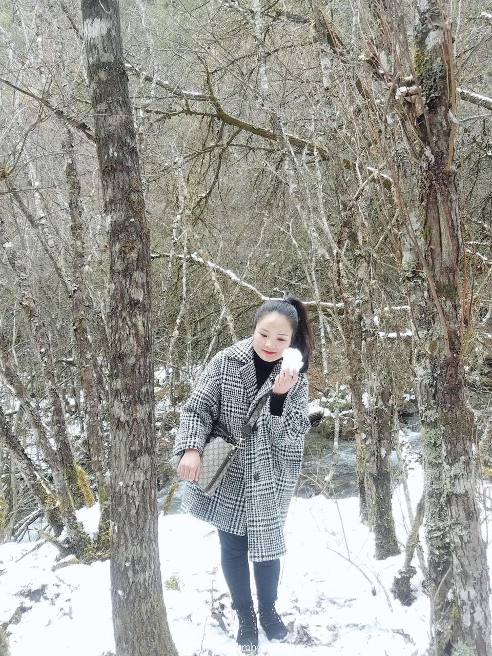 WuTa_2018-11-21_13-46-30