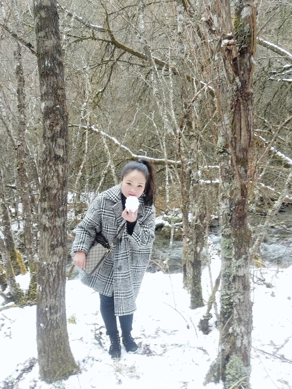 WuTa_2018-11-21_13-46-26