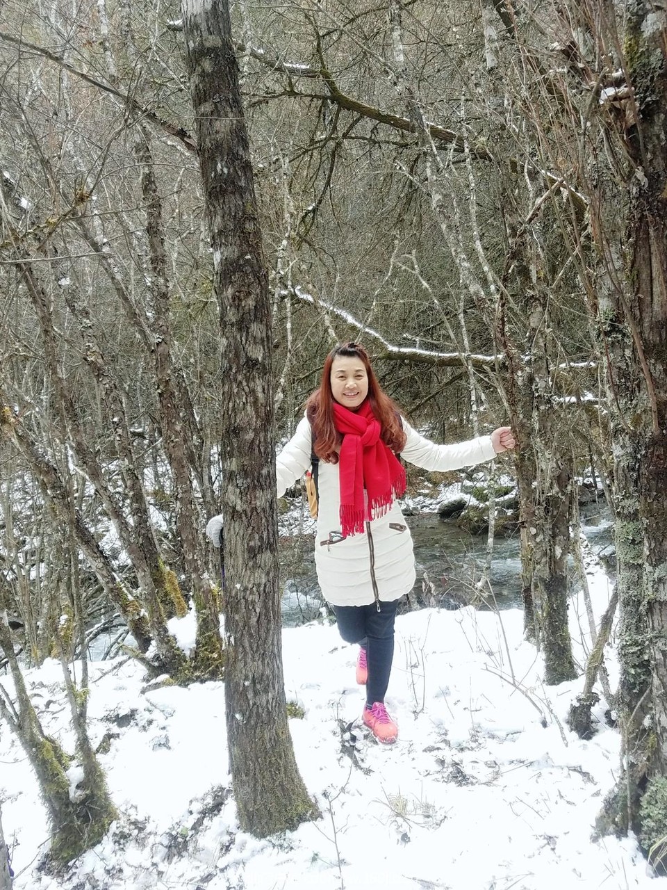 WuTa_2018-11-21_13-45-43