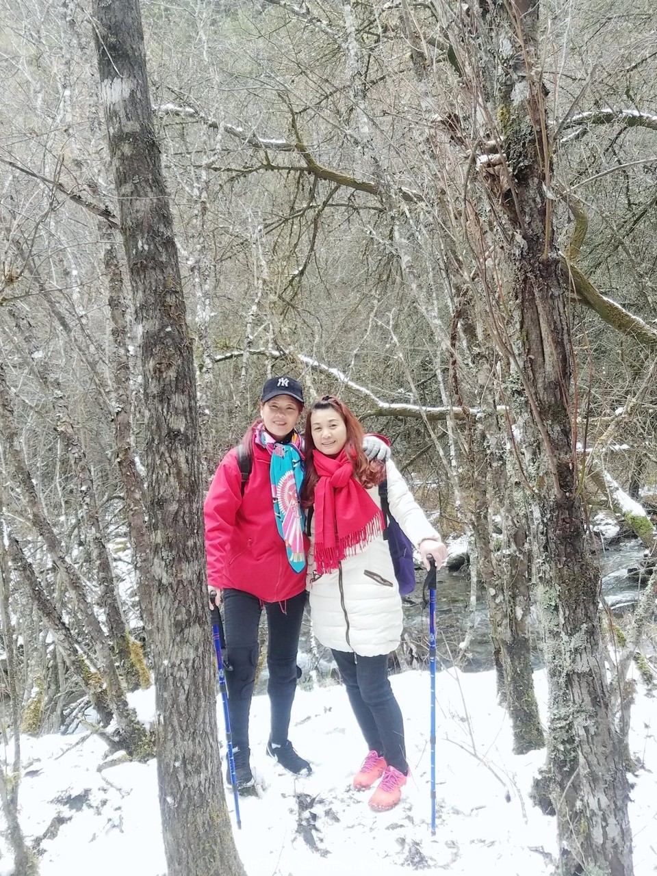 WuTa_2018-11-21_13-45-59