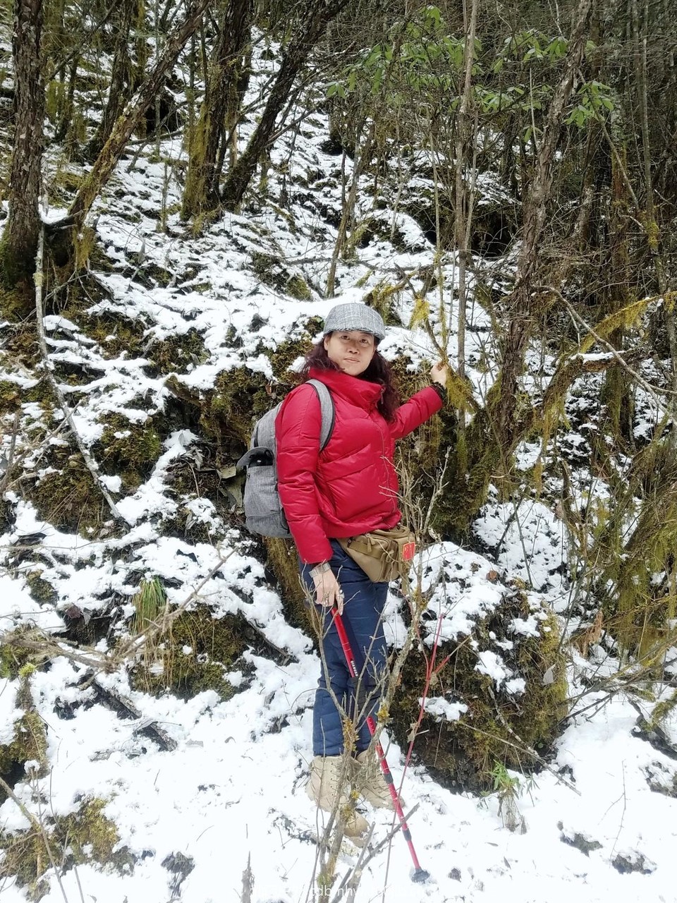 WuTa_2018-11-21_13-42-23