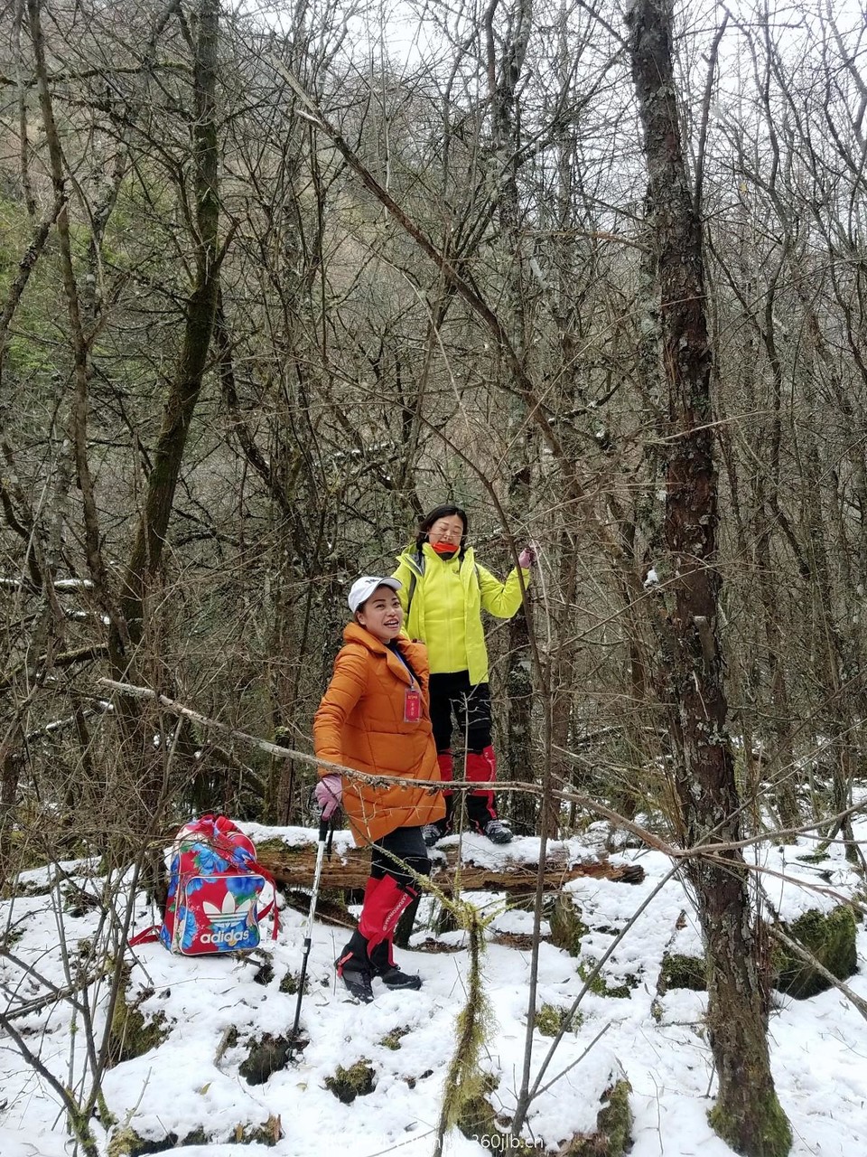 WuTa_2018-11-21_13-07-58