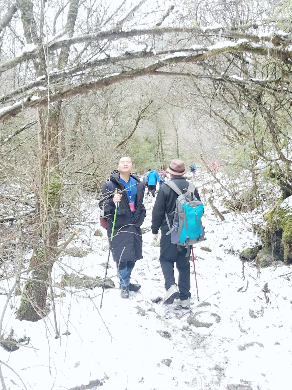 WuTa_2018-11-21_12-06-50