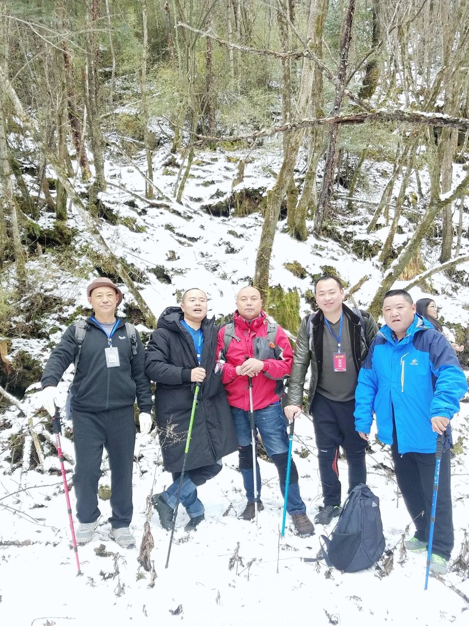 WuTa_2018-11-21_12-04-57