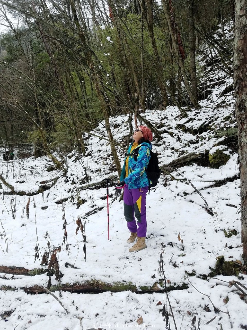 WuTa_2018-11-21_12-02-10