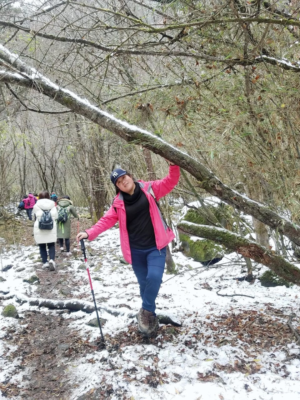 WuTa_2018-11-21_11-57-47