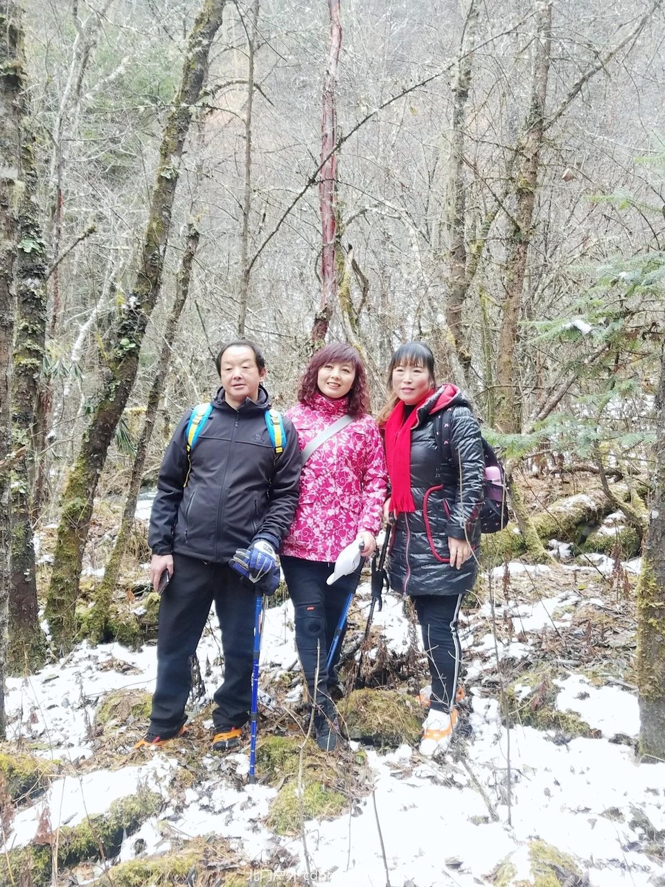 WuTa_2018-11-21_11-56-51