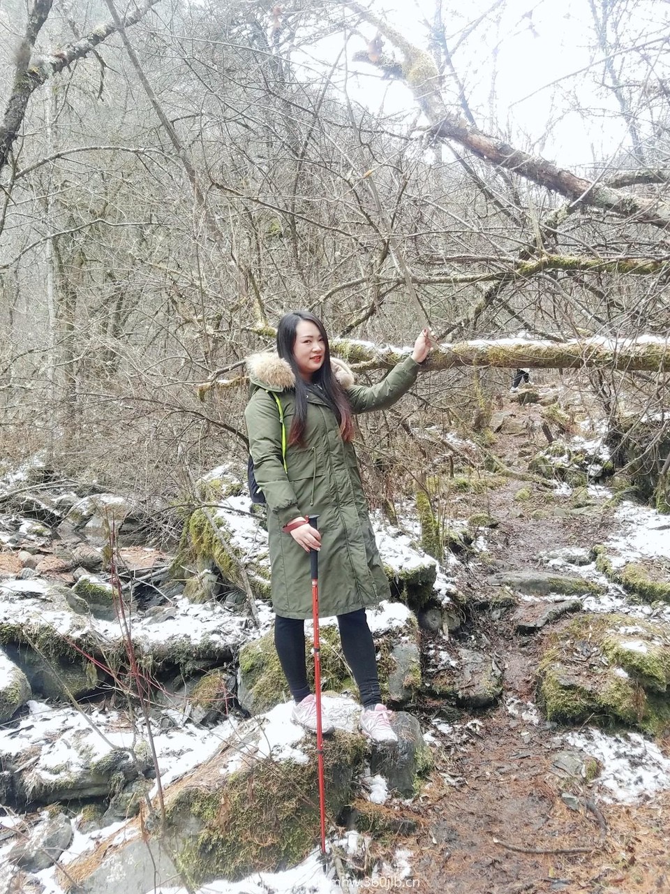 WuTa_2018-11-21_11-52-15