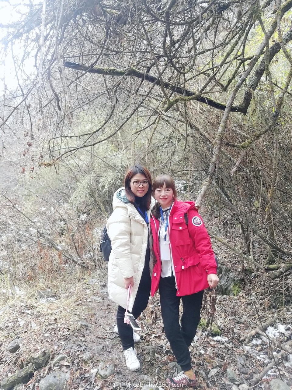 WuTa_2018-11-21_11-50-45