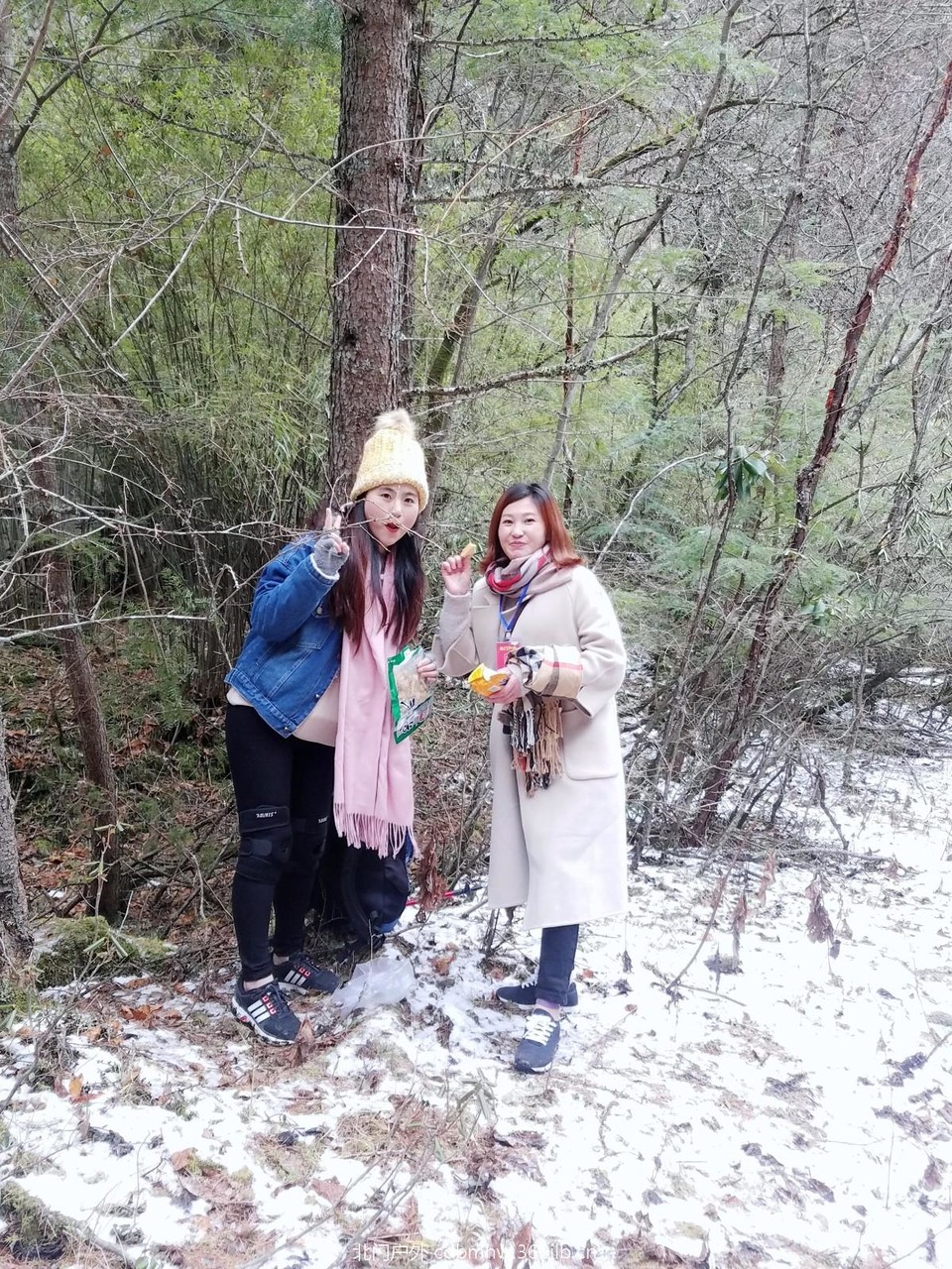 WuTa_2018-11-21_11-37-47