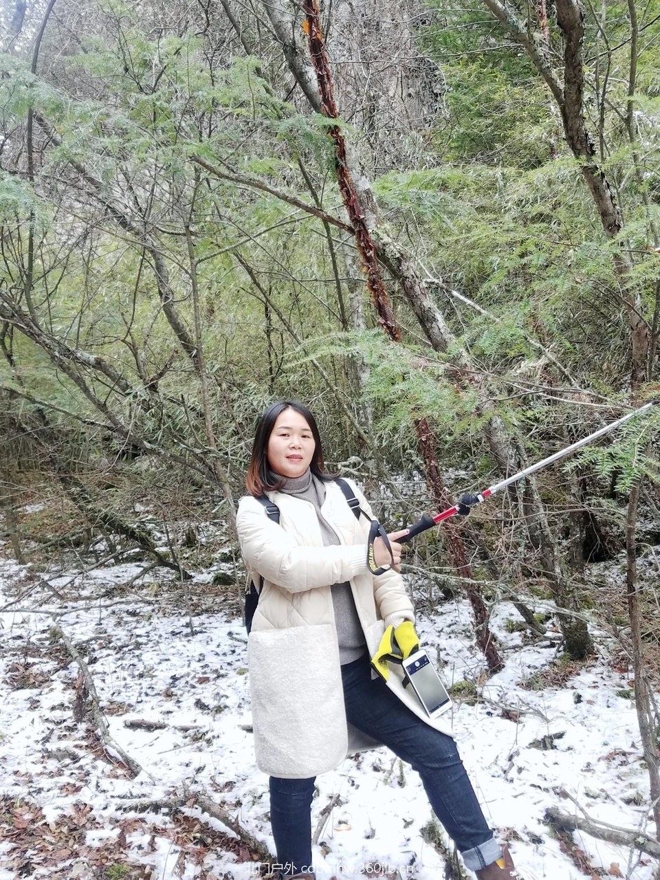 WuTa_2018-11-21_11-37-32