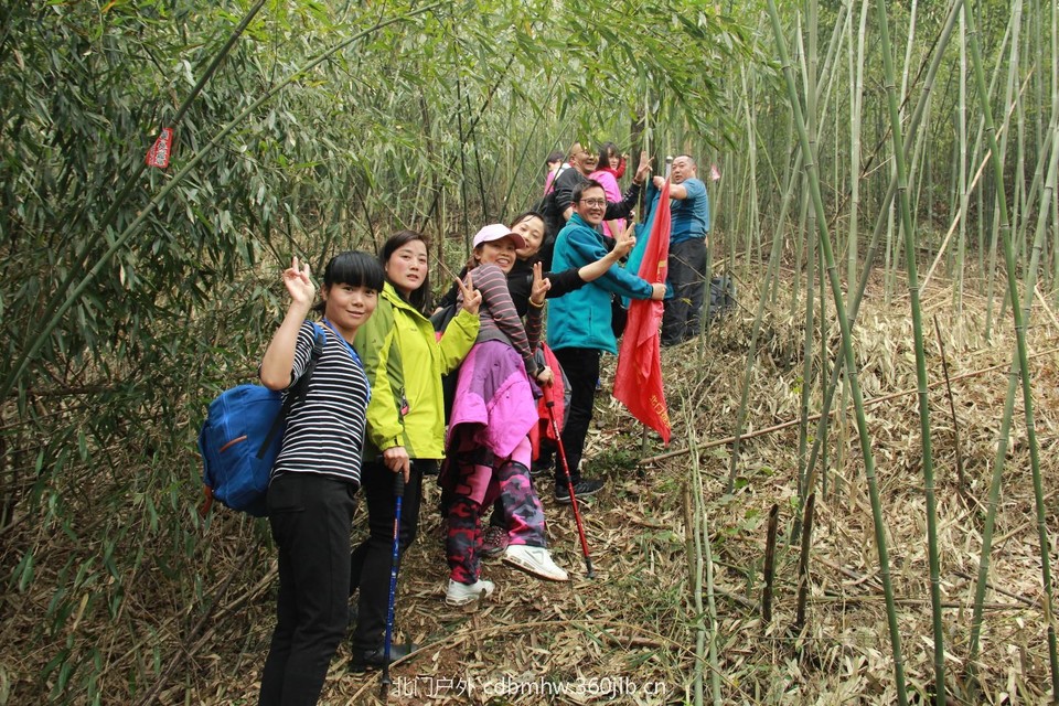 mmexport1543420771801