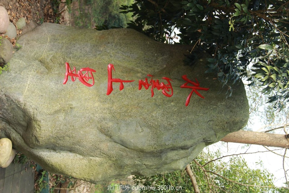 mmexport1543420554022