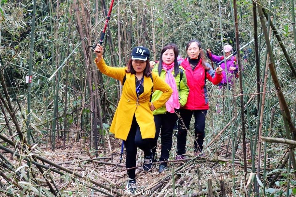 mmexport1543420504590