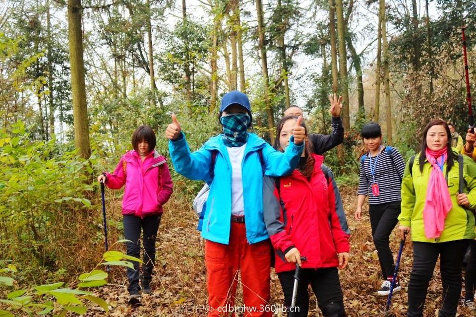 mmexport1543420480705