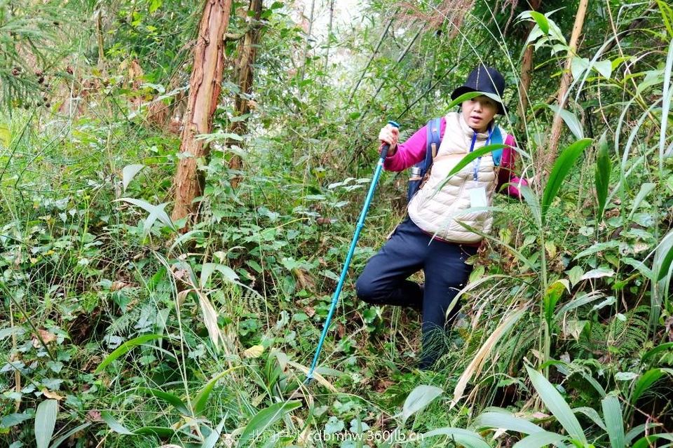 mmexport1543420468506