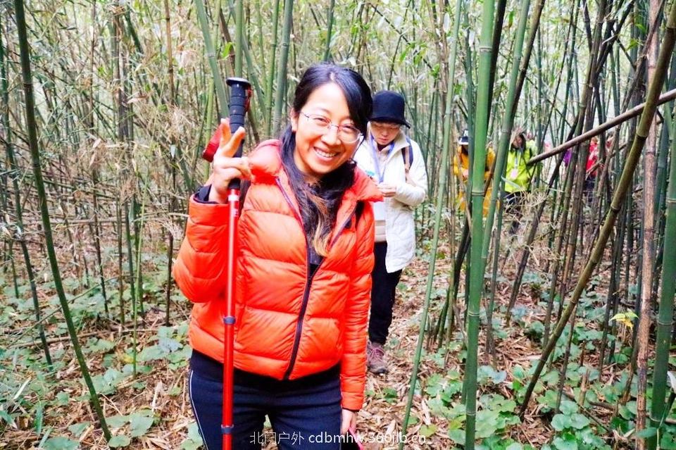 mmexport1543420448085