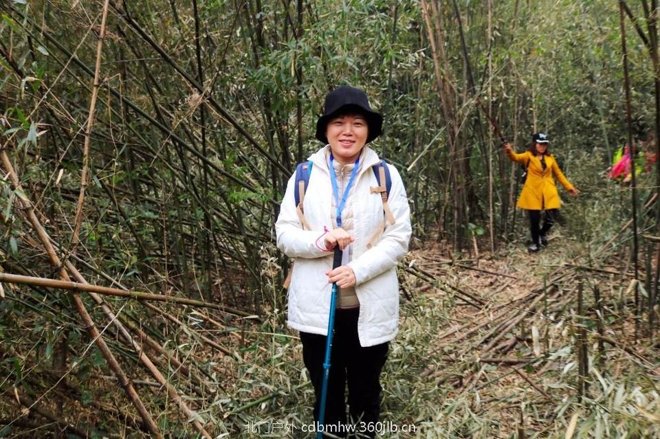 mmexport1543420308384