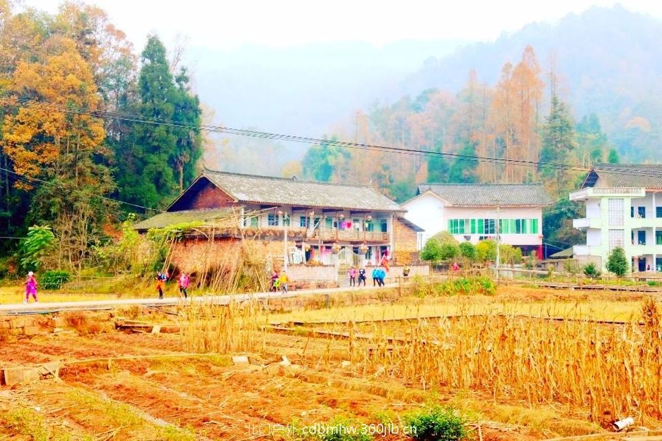 mmexport1543420208059