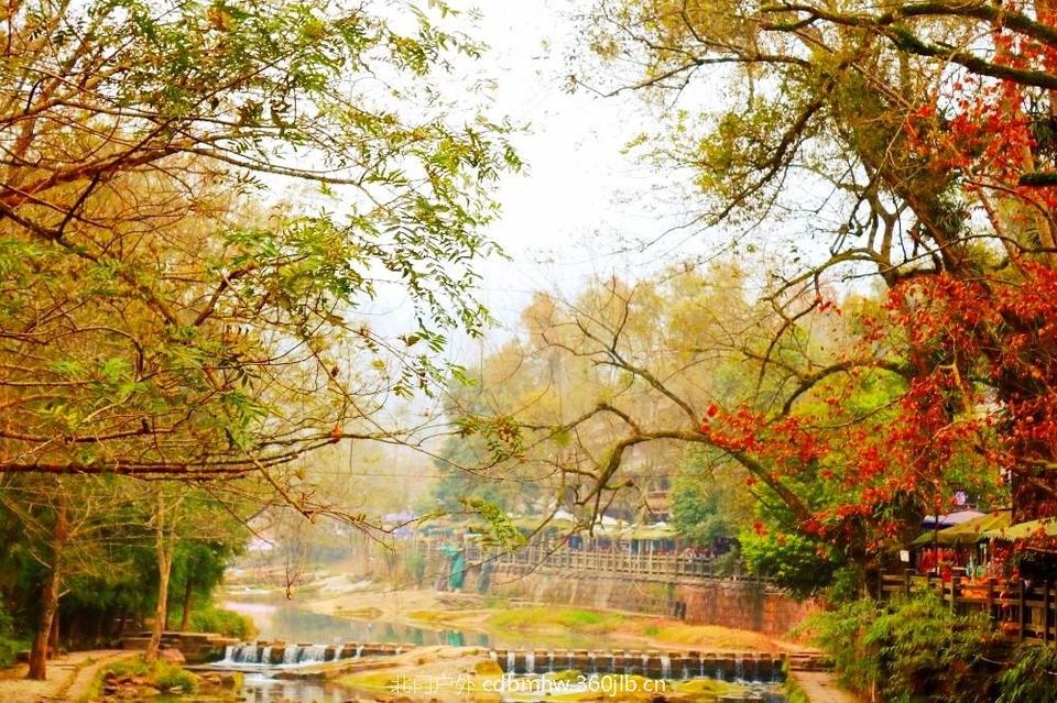 mmexport1543420224250