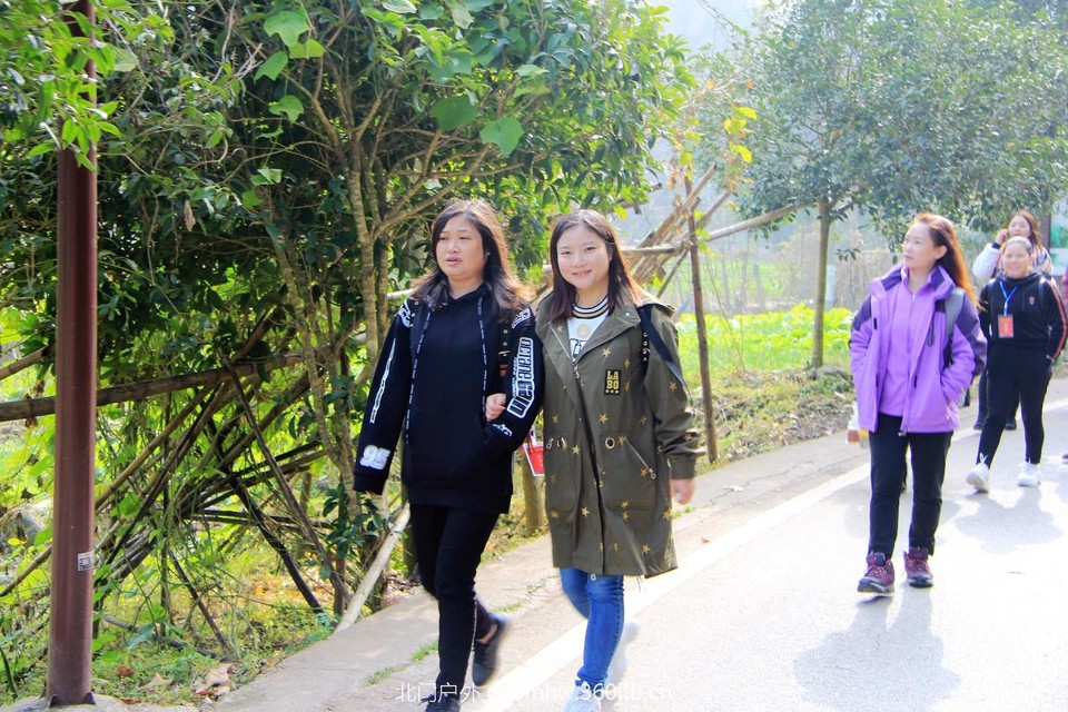 mmexport1543416256806