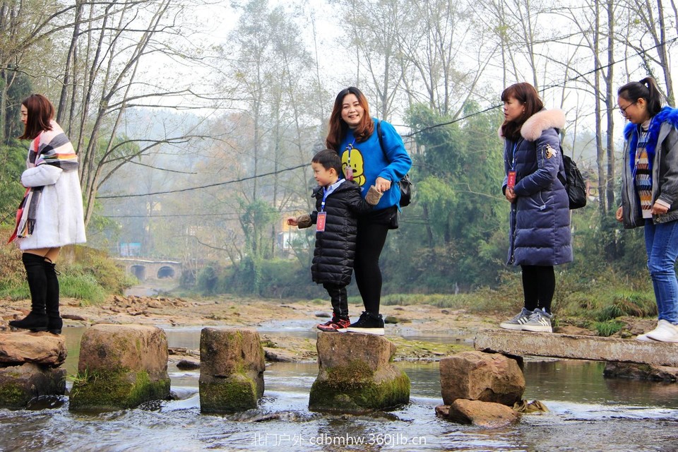 mmexport1543416240536