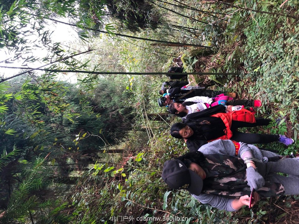 mmexport1543416107622