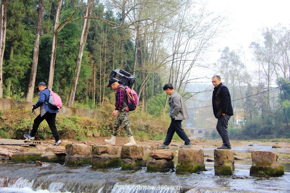 mmexport1543415861700