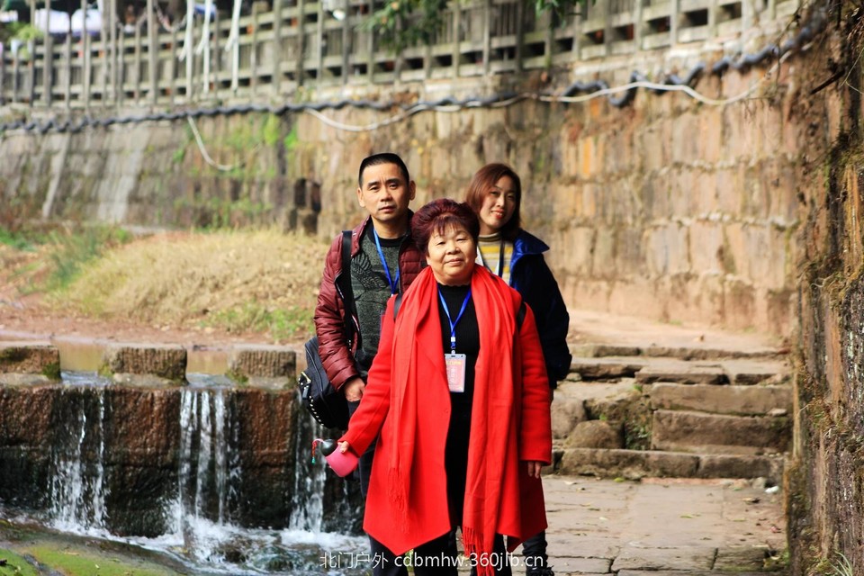 mmexport1543415221016