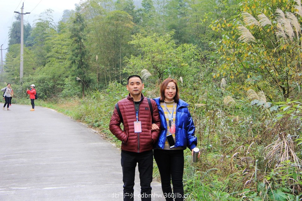 mmexport1543414768185