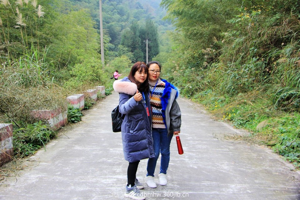 mmexport1543414744812