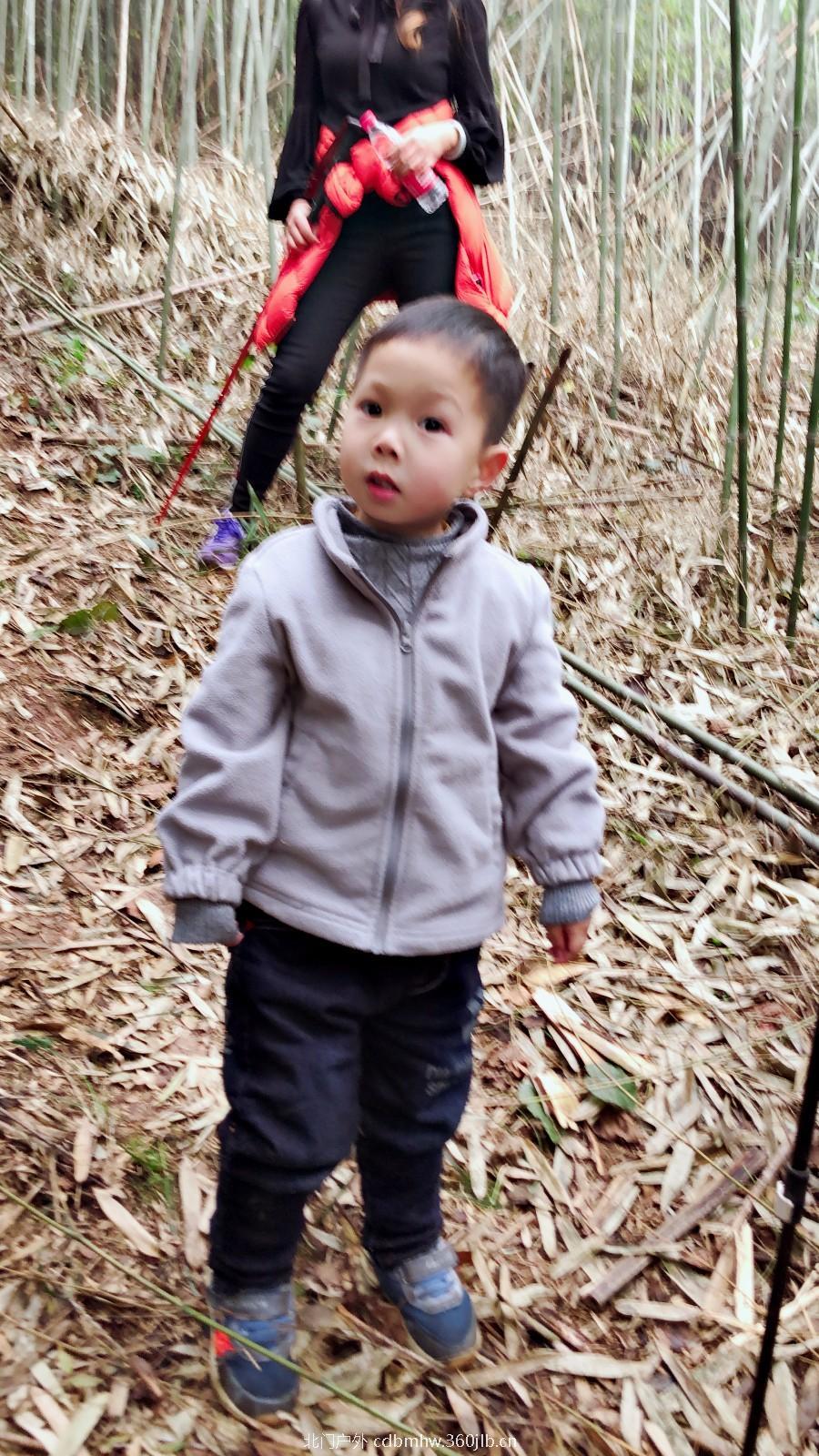 mmexport1543410212744