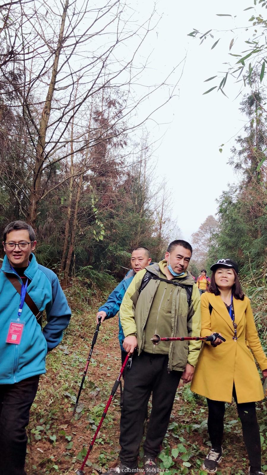 mmexport1543410124709