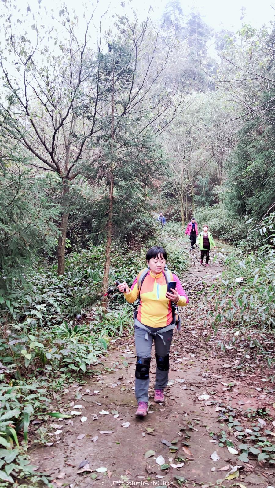 mmexport1543409929713