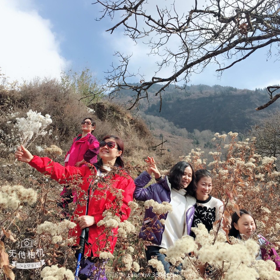 mmexport1543655144909