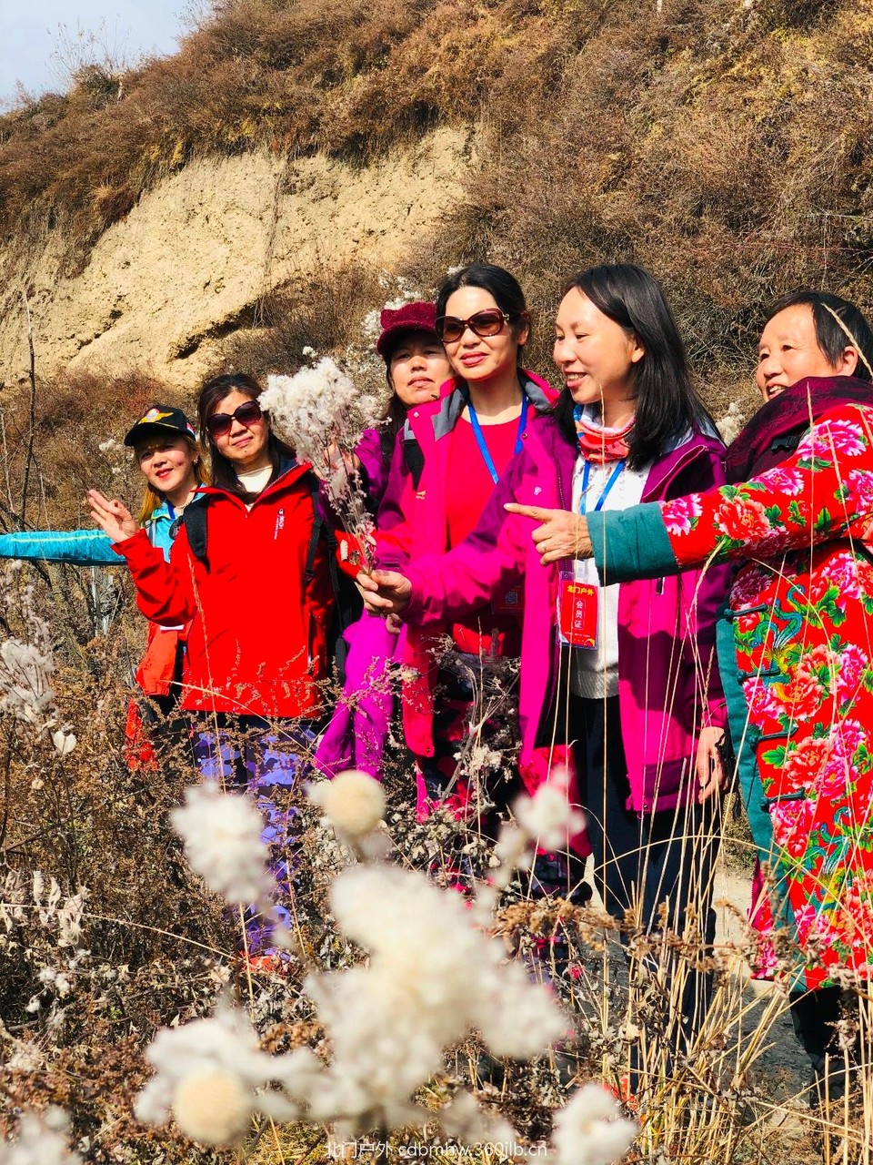 mmexport1543654468699