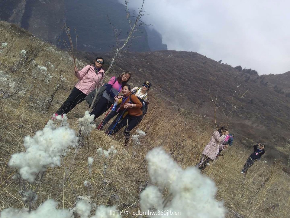 mmexport1543653235570