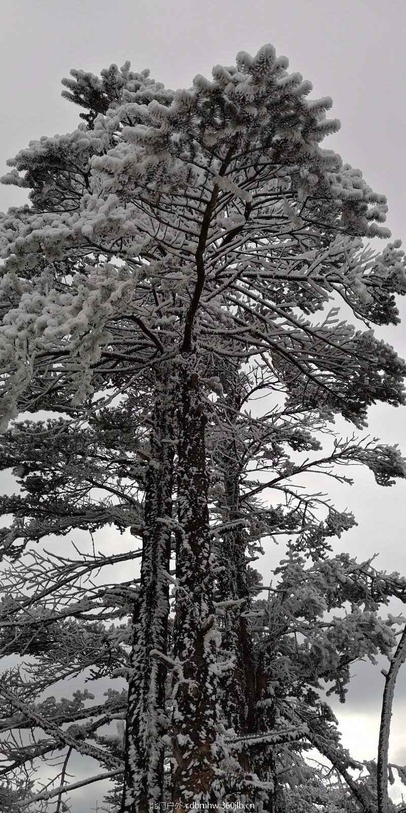 mmexport1543766719390