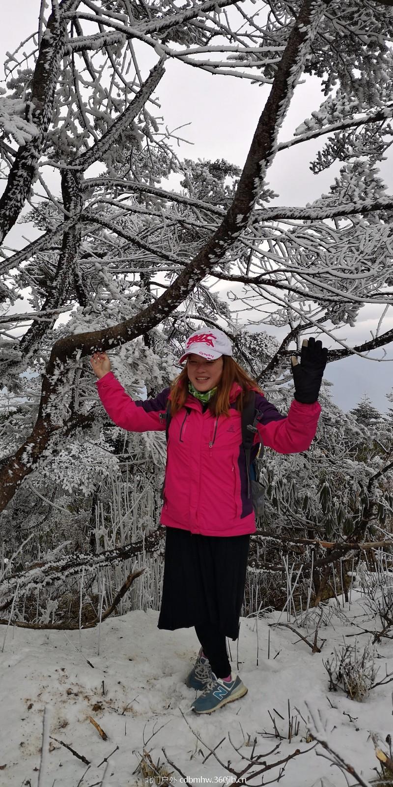 mmexport1543766713714