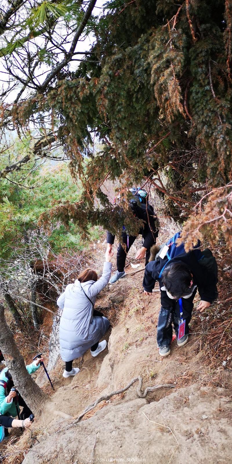 mmexport1543766504407