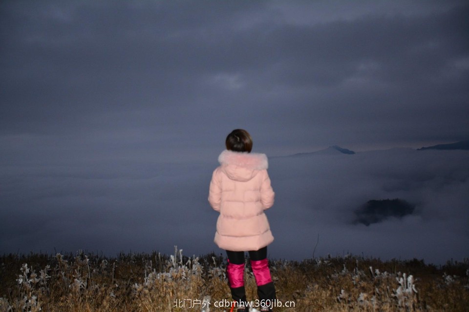 mmexport1543766363415