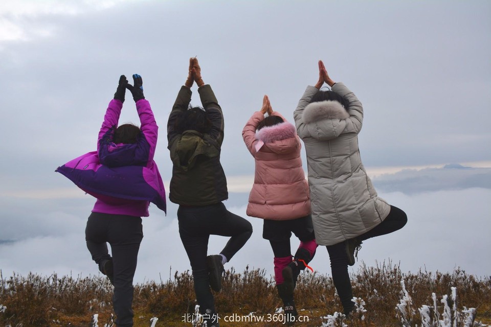 mmexport1543766227390