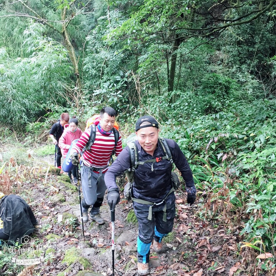 mmexport1543766069547