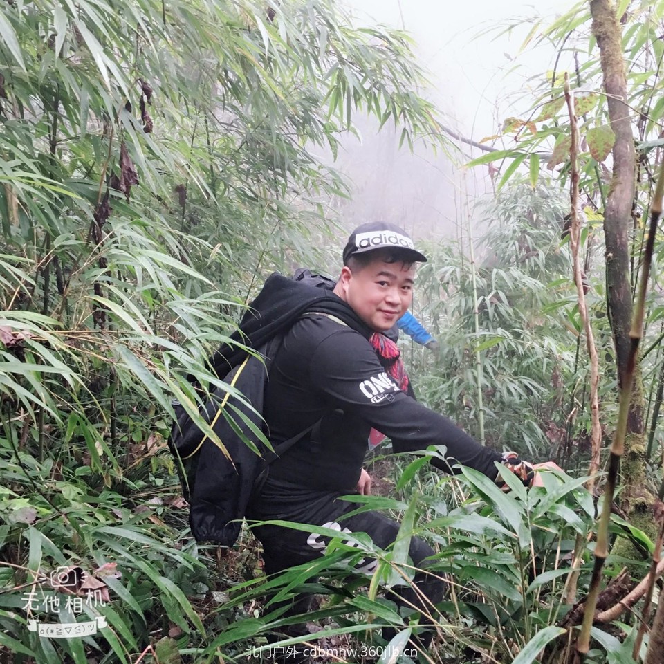 mmexport1543765982100