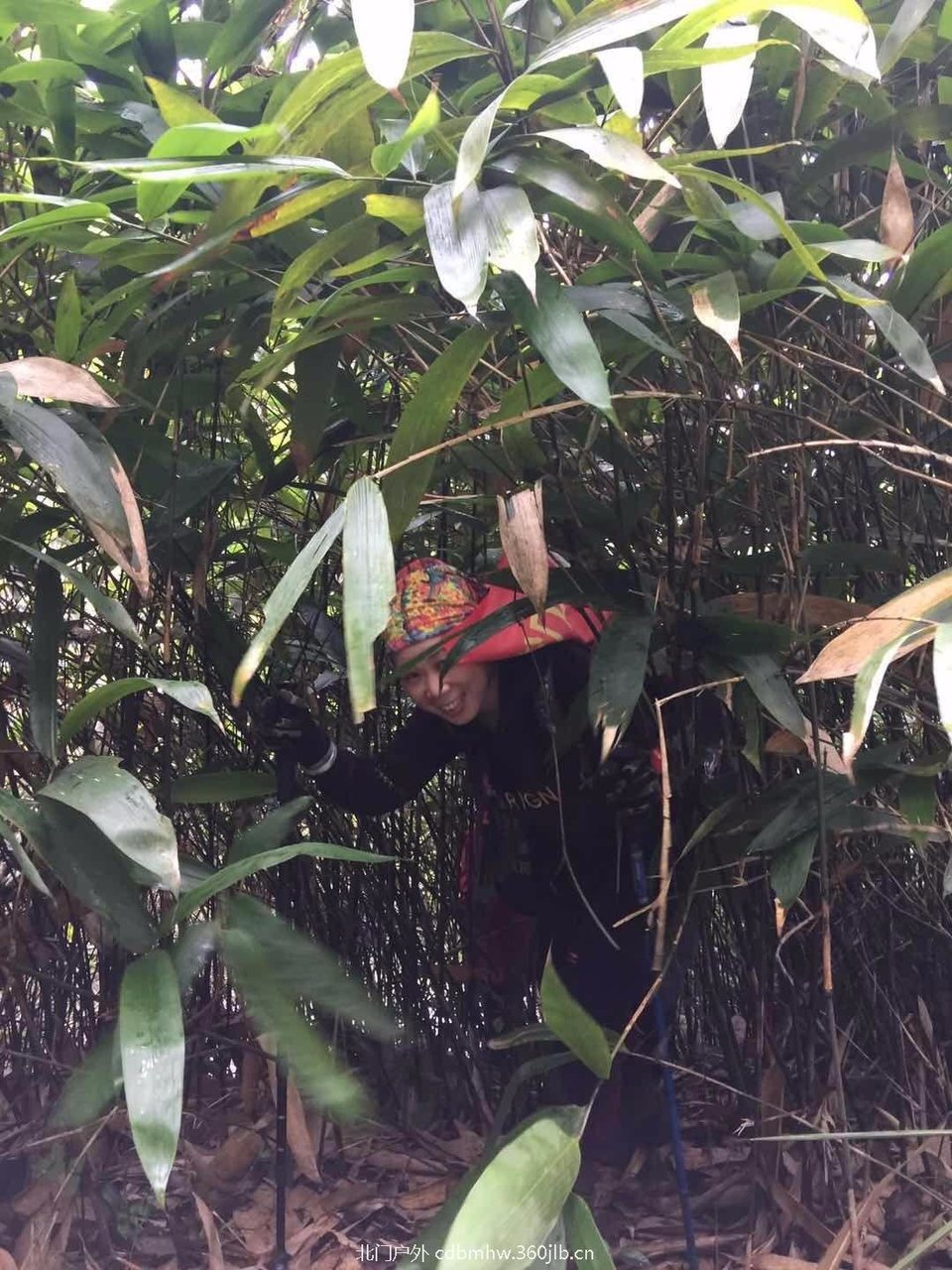 mmexport1543765912415