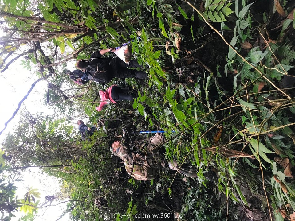 mmexport1543765953932