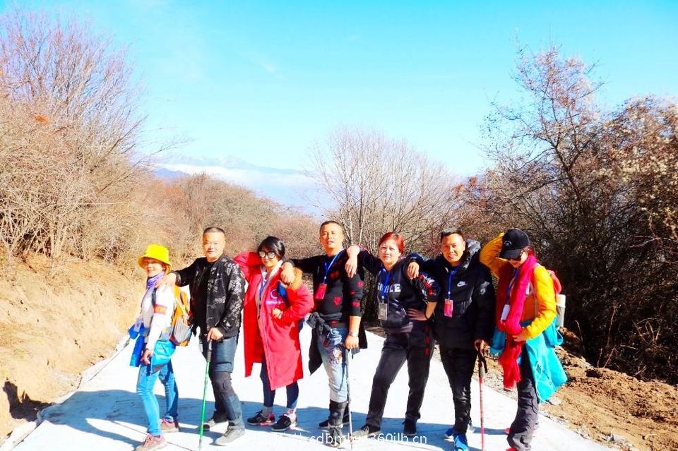 mmexport1544156512478